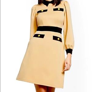 Long Sleeve Puff Shift Dress